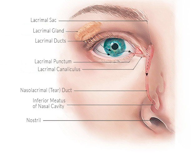 Dacryocystorhinostomy DCR Tear Duct Surgery